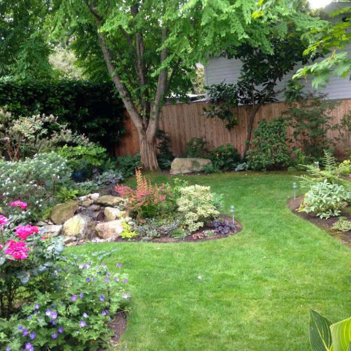 Soil test kit being used to measure pH and nutrient levels for optimal plant care.